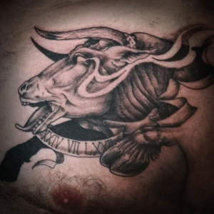 Tattoo Stier